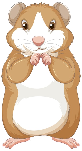 Hamster lifespan Vectors & Illustrations for Free Download