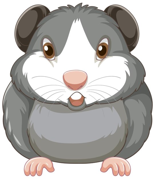a cute guinea pig on white background