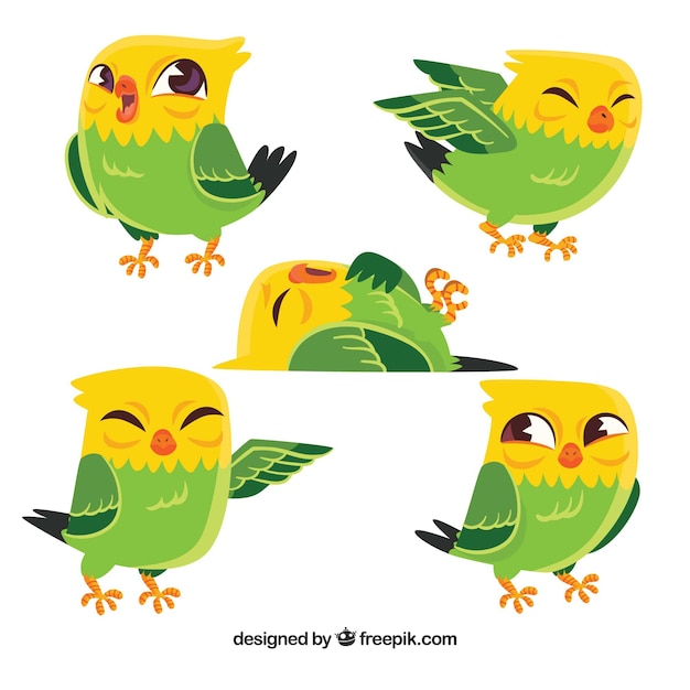 Cute hand drawn bird collection