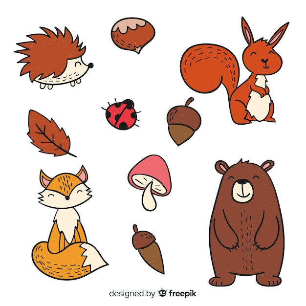 Cute hand drawn forest animals collection