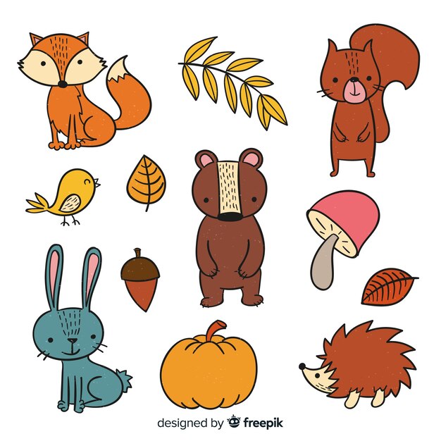 Cute hand drawn forest animals collection