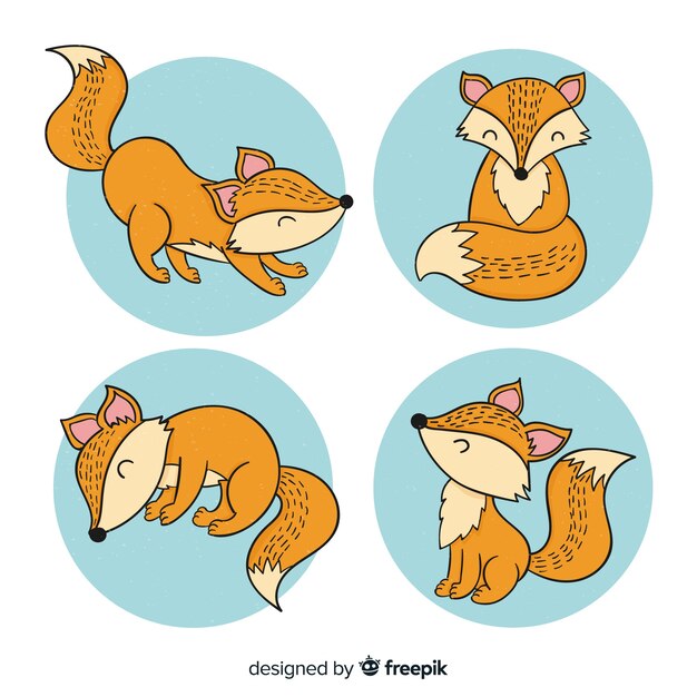 Бесплатное векторное изображение Симпатичная коллекция рисованной лисы