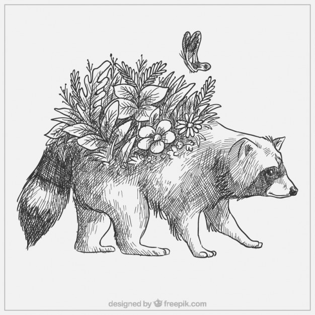 Free vector cute hand drawn raccoon with flowers and butterfly