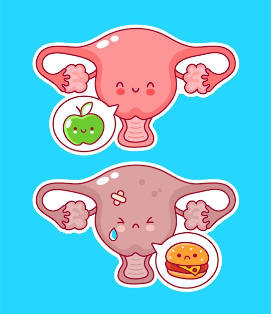 Cute happy funny woman uterus organ with apple and burger in speech bubble.
