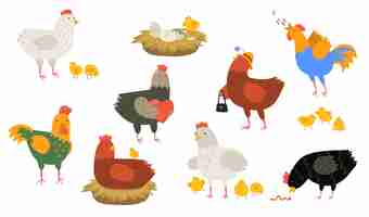 Free vector cute hens and roosters set