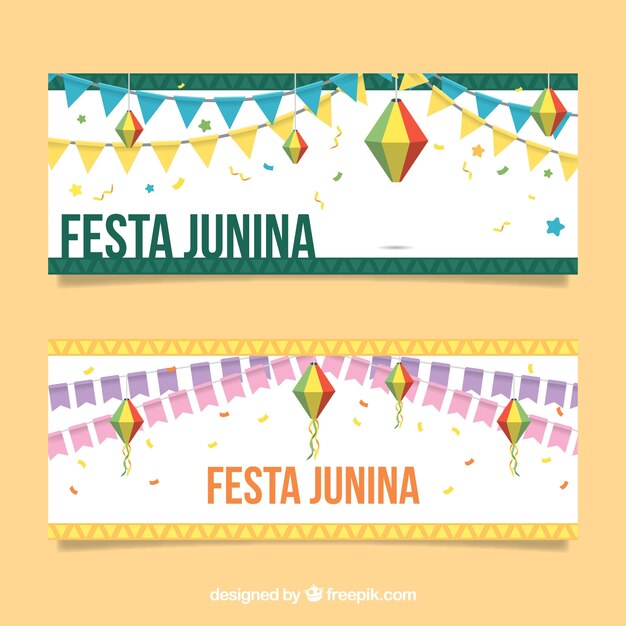 Cute junkin party banners