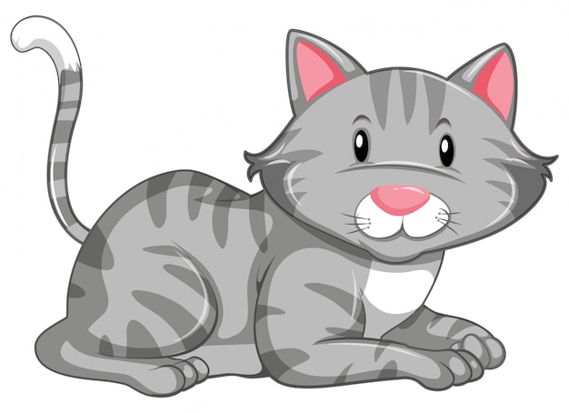 Free vector cute kitten on white