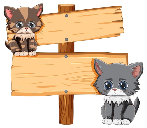 Cute kittens with wooden sign