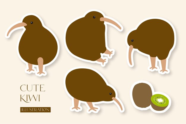 ベクトルフラット手描きイラスト 植物と花のかわいいキウイ鳥 プレミアムベクター