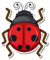 Free vector cute ladybug animal cartoon sticker