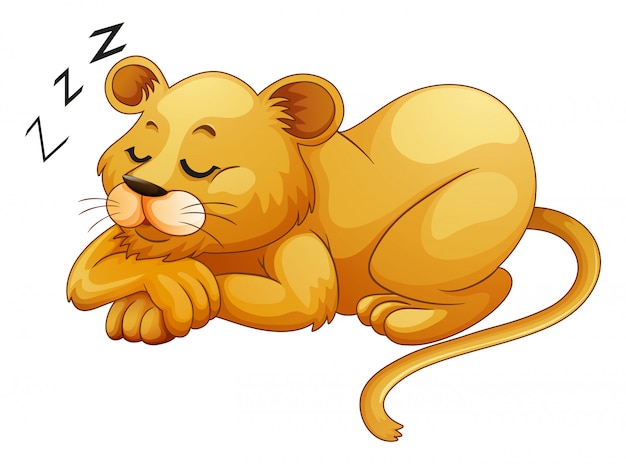 単独で眠っているかわいいライオン