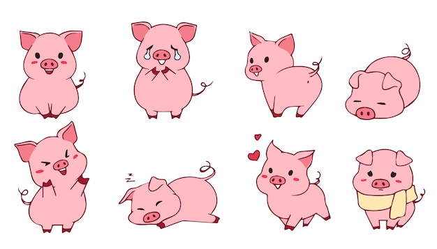 Pig Images Free Vectors Stock Photos Psd