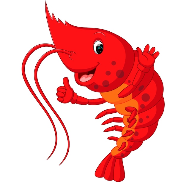 Hand drawn sketch shrimp illustration Vector | Premium Download