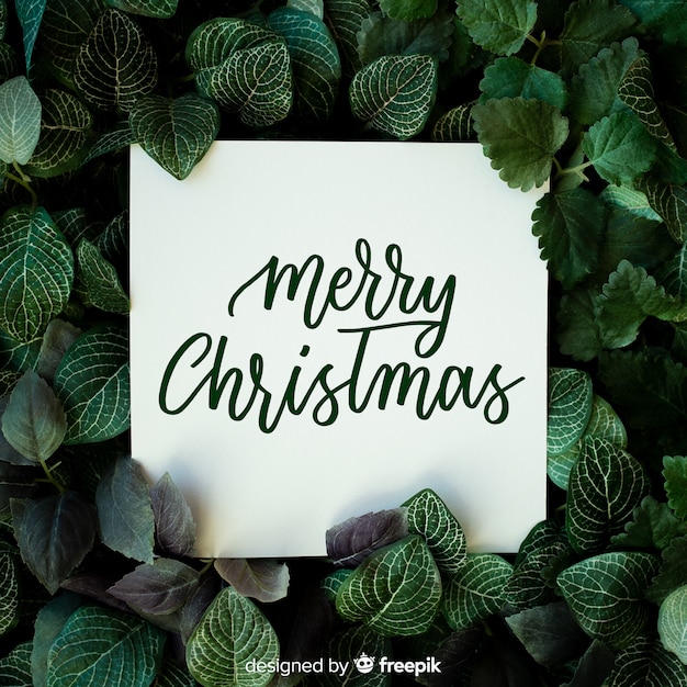 Cute merry christmas lettering