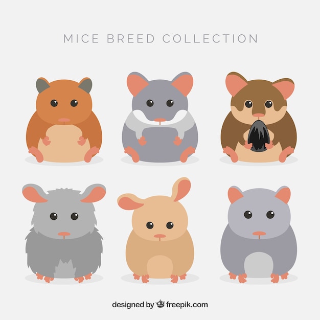 Free vector cute mice breed pack