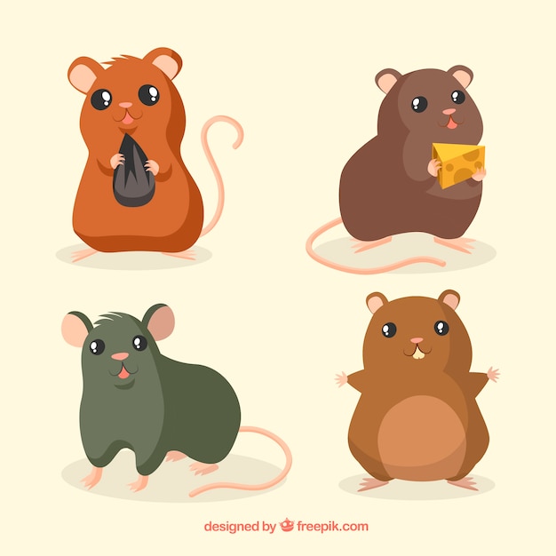 Free vector cute mice breed set