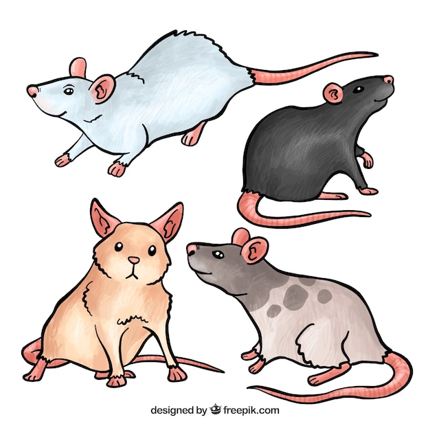 Free vector cute mice set