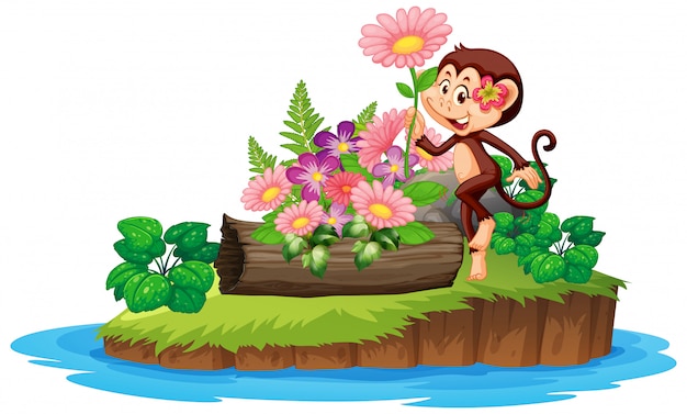 Cute monkey in the flower garden on an island