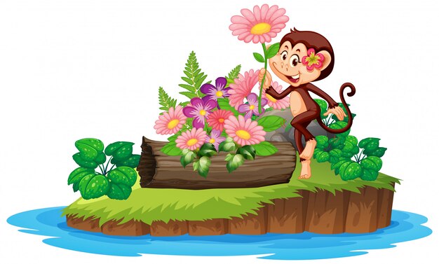 Cute monkey in the flower garden on an island