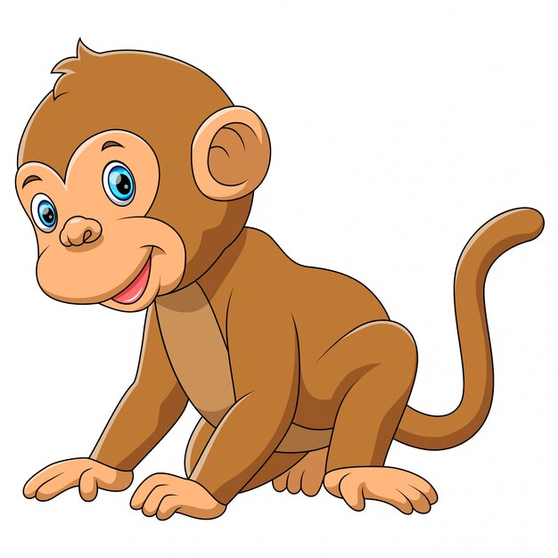 Monkey Vectors, Photos and PSD files | Free Download