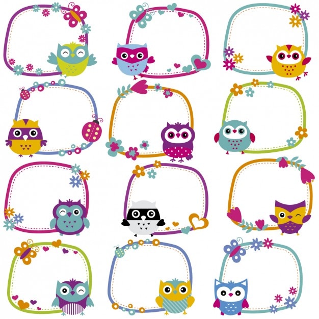 Cute owl frames collection