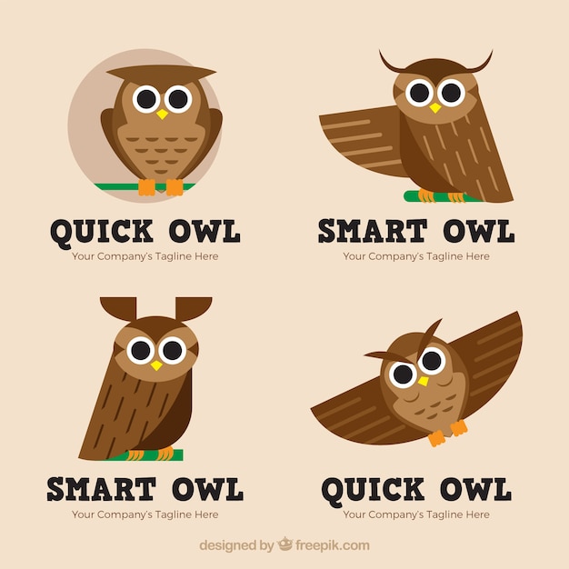 Free Vector cute owl logo collection