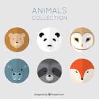 Free vector cute pack of round animals