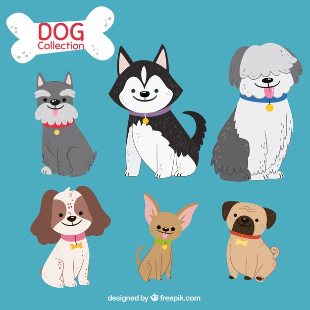 Download Free Dog Images Free Vectors Stock Photos Psd Use our free logo maker to create a logo and build your brand. Put your logo on business cards, promotional products, or your website for brand visibility.