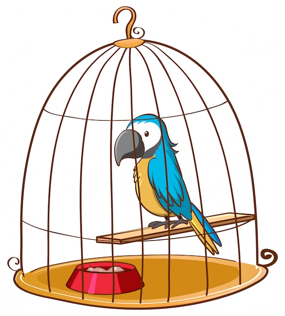 Cute parrot in cage on white 