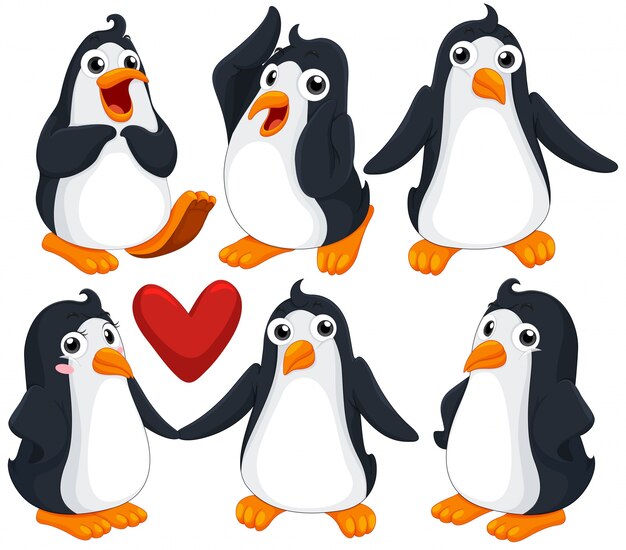 Cute penguins in different poses illustration