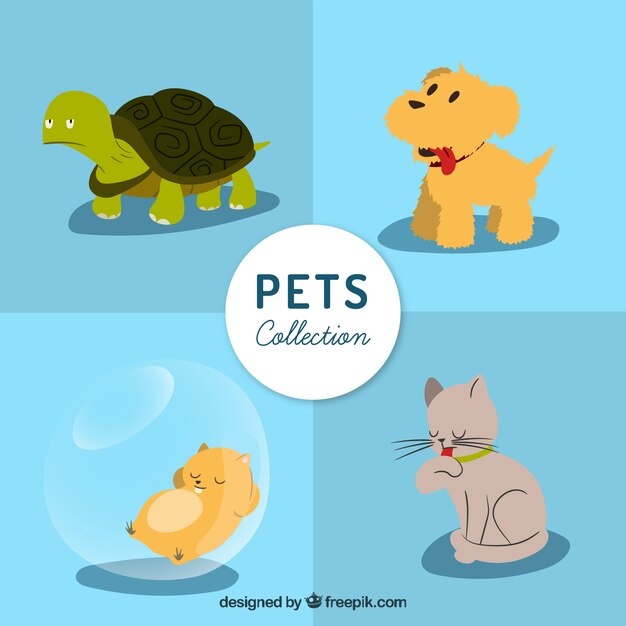 Cute pets collection