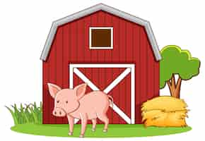 Free vector cute pig standing on farmyard