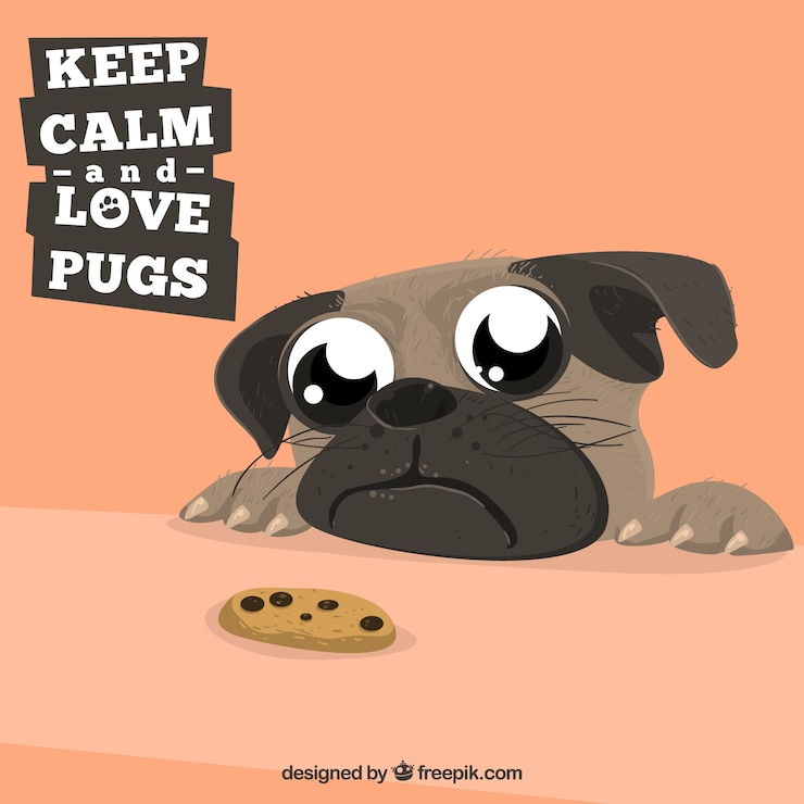 Free Vector cute pug looking at a cookie