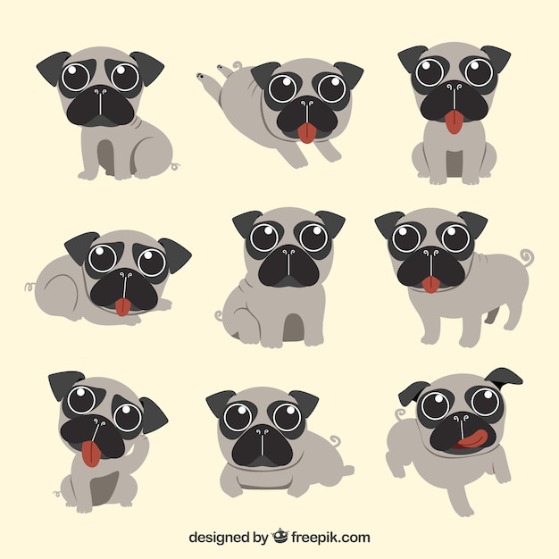 Free vector cute pugs with flat design