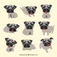 Free vector cute pugs with flat design