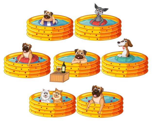 Cute puppy dogs party in rubber swimming pool