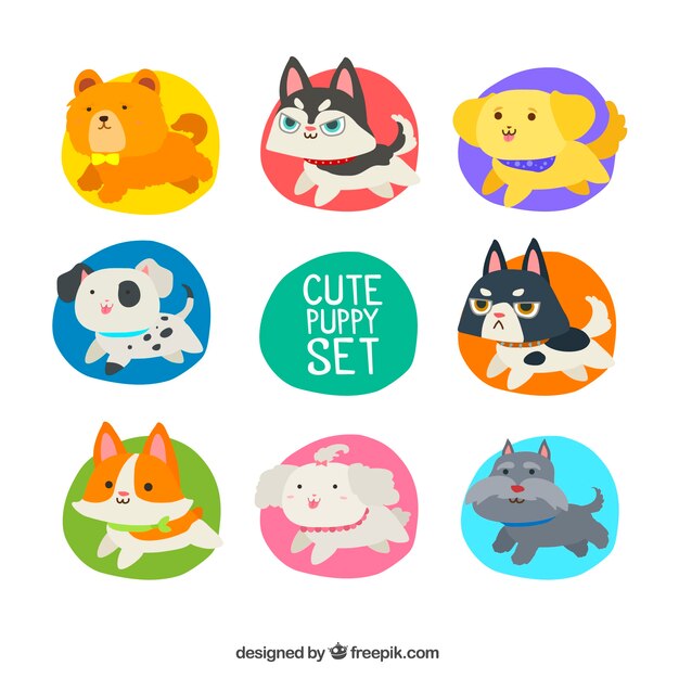 Cute puppy set