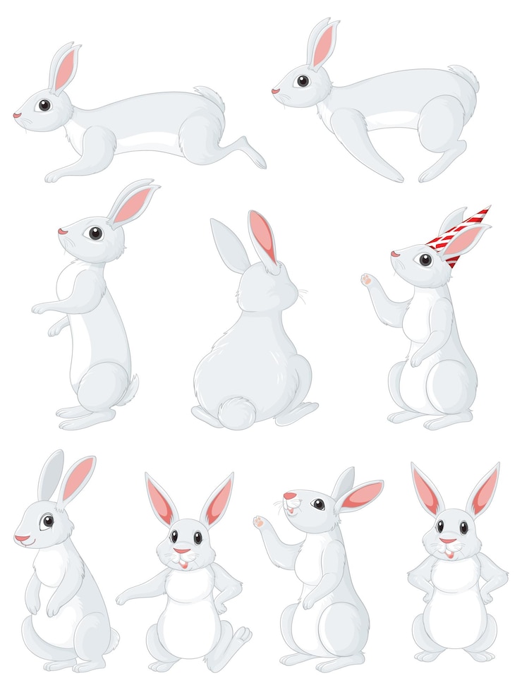Free Vector cute rabbit cartoon character collection