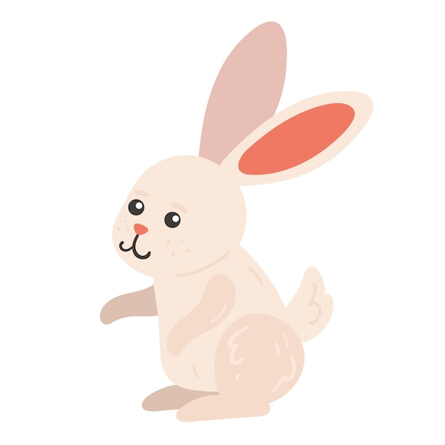 cute rabbit white