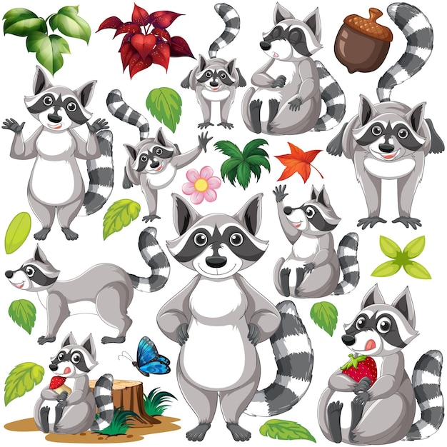 Free vector cute raccoons doing different things