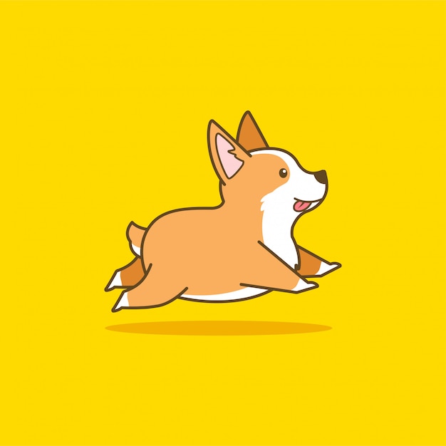 running with corgi