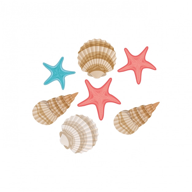 Seashells svegli sul mare nel bianco Vettore gratuito