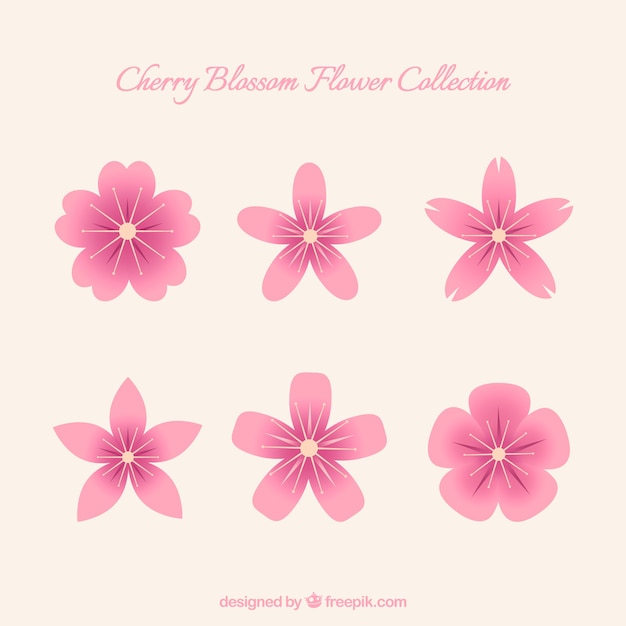 Free vector cute set of cherry blossom flowers