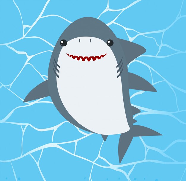 Download Shark Vectors, Photos and PSD files | Free Download