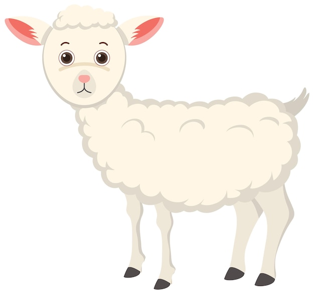 Cute sheep in flat cartoon style