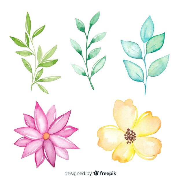 Cute simplistic drawings of colourful flowers