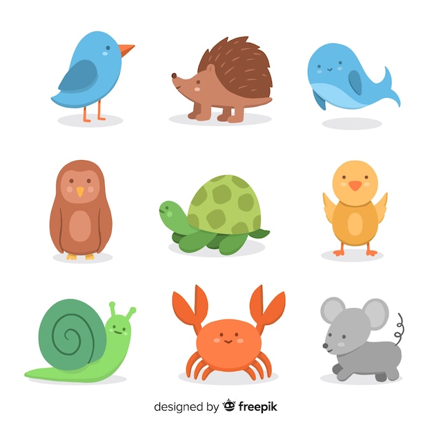 Cute small animal collection