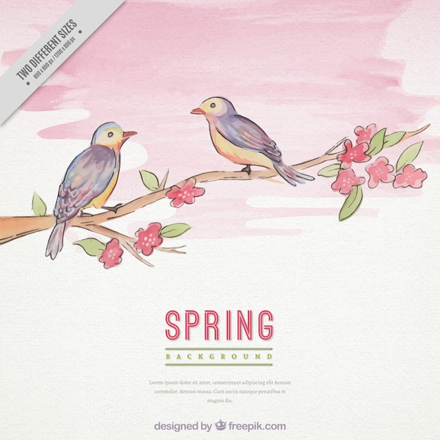 Cute spring background with birds on branch