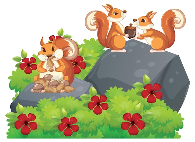 Free vector cute squirrel animal cartoon