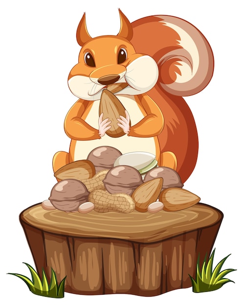 Free vector cute squirrel with the food